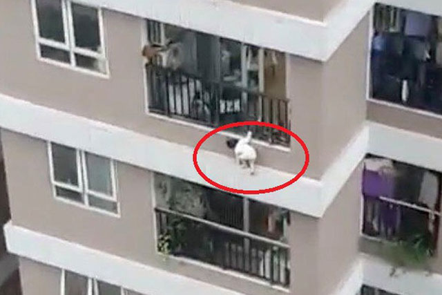 Chuyện ban công, cửa sổ, lan can và sự bất cẩn của phụ huynh ở chung cư