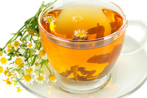 Hoa cúc - 'thần dược' trị đau đầu chấm dứt ngay lập tức