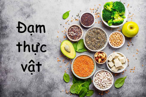 Bạn hiểu gì về đạm thực vật?