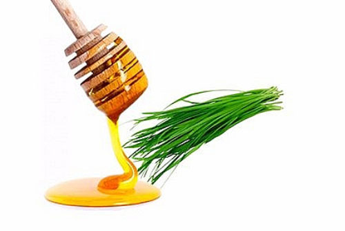 Mật ong rất tốt nhưng không kết hợp với 3 loại thực phẩm này kẻo dễ gây họa sát thân