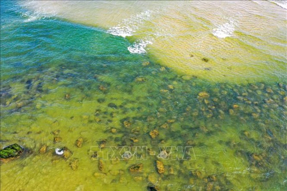 Những tảng đá phủ đầy rêu xanh ẩn hiện trong làn nước biển tạo nên màu sắc đẹp lạ khi thủy triều rút dần. 