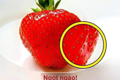 Mẹo chọn mua dâu tây ngọt mọng đúng chuẩn, không sợ chất bảo quản có hại