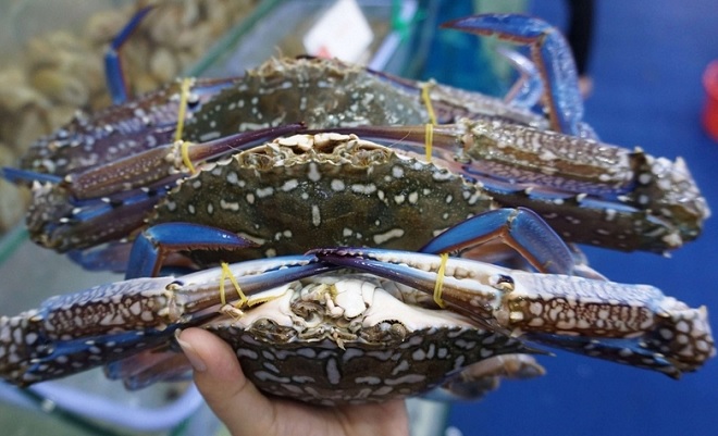 Doanh nghiệp xuất khẩu VN bị tác động trực tiếp bởi mẫu chứng thư mới của EU 