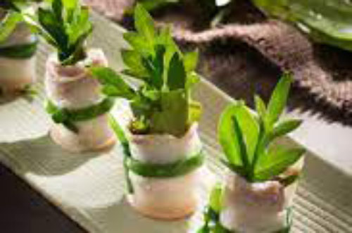 Dân dã với thịt luộc cuốn rau rừng