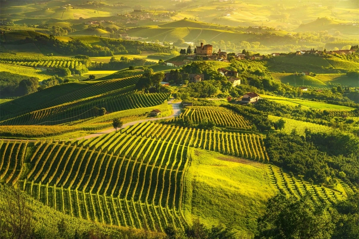 Khung cảnh ở Piedmont, Italy. Nguồn: Shutterstock