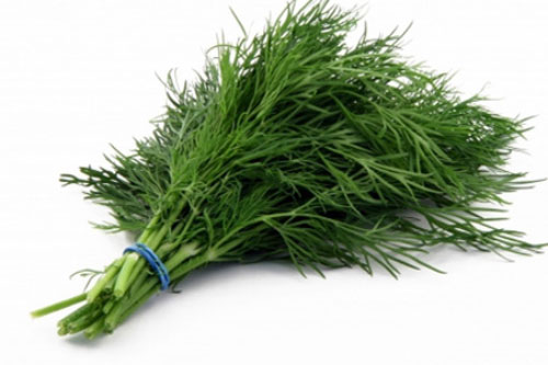 Mỗi ngày ăn một nắm rau rẻ bèo này điều kỳ diệu sẽ xảy ra