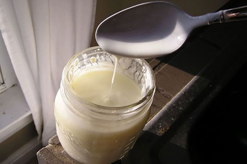 Mẹo khắc phục lỗi khi sữa chua bị nhớt