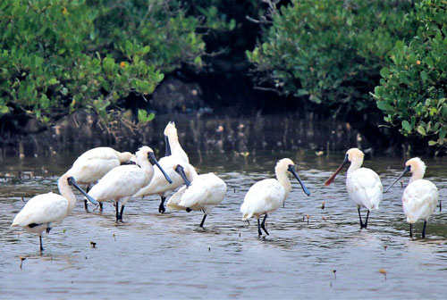 Vườn quốc gia nào có diện tích nhỏ nhất ở Việt Nam?