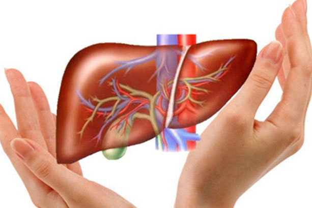 4 cách đơn giản giúp bảo vệ lá gan của bạn