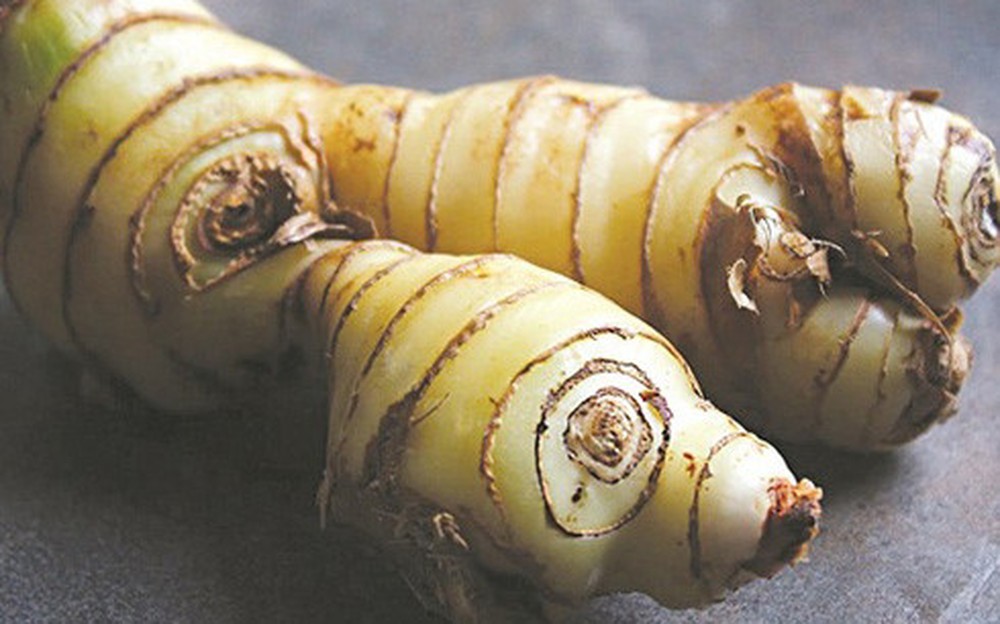 Lọi củ rẻ tiền nhưng có thể giúp bạn chữa bệnh cực hiệu quả