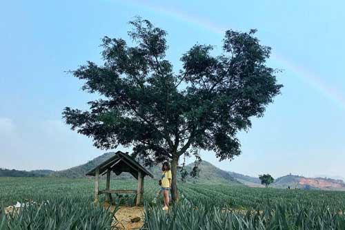 Nghỉ lễ 30/4 không thể bỏ lỡ những 'thánh địa' check-in này