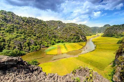 Ngắm mùa vàng Tam Cốc từ đỉnh Hang Múa