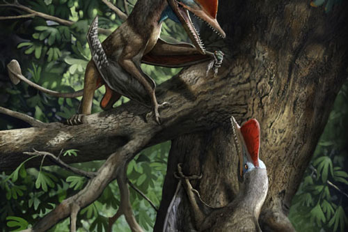 "Quái thú bay" kỷ Jura mang trên cơ thể thứ giống con người