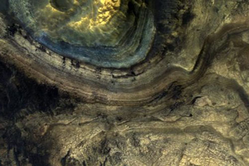 Dấu hiệu lạ: Sinh vật ngoài hành tinh y hệt loài cổ quái nhất Trái Đất?