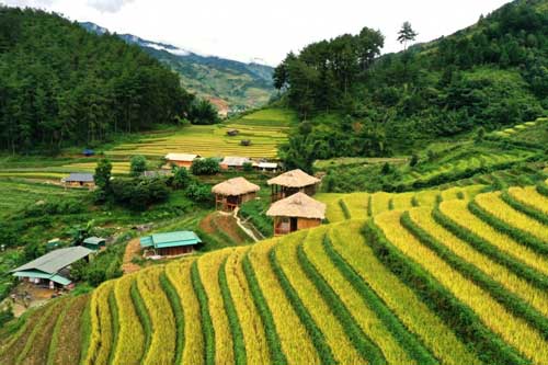 Du khách hào hứng khám phá mùa vàng ở Mù Cang Chải