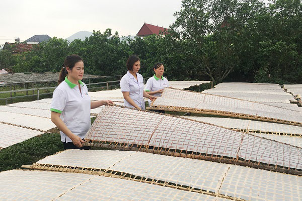 Phát triển tài sản trí tuệ: Đặt doanh nghiệp vào vị trí trung tâm