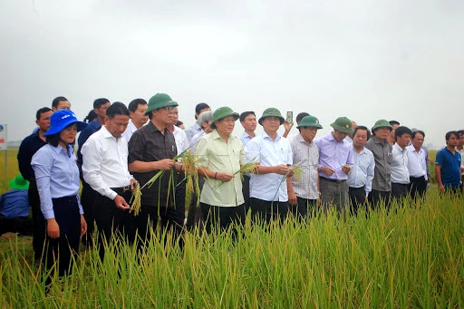 Lãnh đạo tỉnh Quảng Trị vui mừng khi gạo hữu cơ "ăn nên làm ra", tạo thương hiệu riêng cho ngành niông nghiệp Quảng Trị