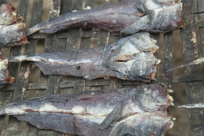 Ở Việt Nam có loại cá leo cây, mang đi nướng thành món đặc sản - Ảnh 4.