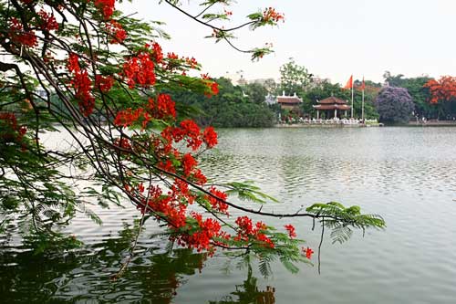 Đẹp nao lòng trước cảnh hoa phượng 'thắp lửa' bên Hồ Gươm