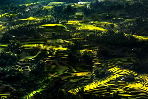 Đất và người Hoàng Su Phì qua ống kính 2 nhiếp ảnh gia không chuyên