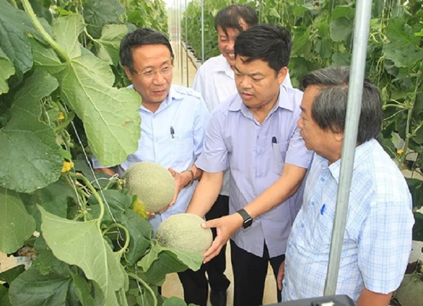 Phát triển nông nghiệp hữu cơ, nông nghiệp sạch là hướng phát triển ưu tiên cho ngành nông nghiệp Quảng Trị