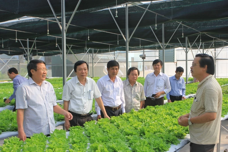 Phó chủ tịch UBND tỉnh Quảng Trị Hà Sỹ Đồng (Người đầu tiên từ bên trái sang) đến thăm các mô hình trồng rau sạch trên địa bàn huyện Gio Linh