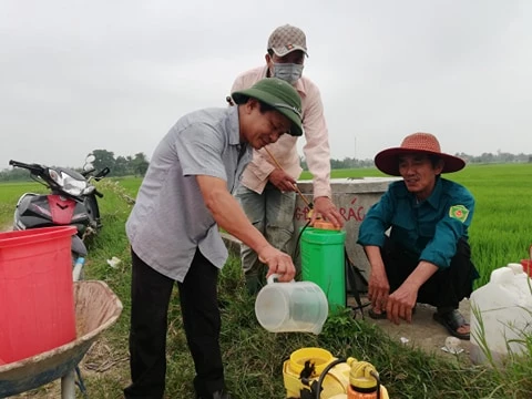 Người dân phun thuốc sinh học cho lúa ở cánh đồng huyện Triệu Phong