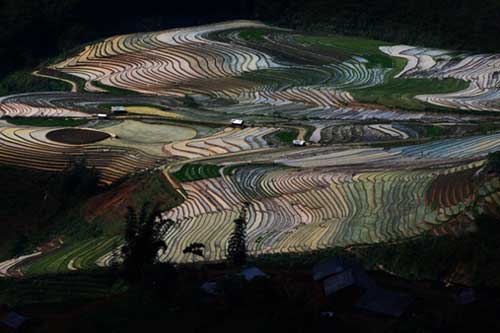 Ruộng bậc thang Y Tý mùa nước đổ đẹp như tranh vẽ