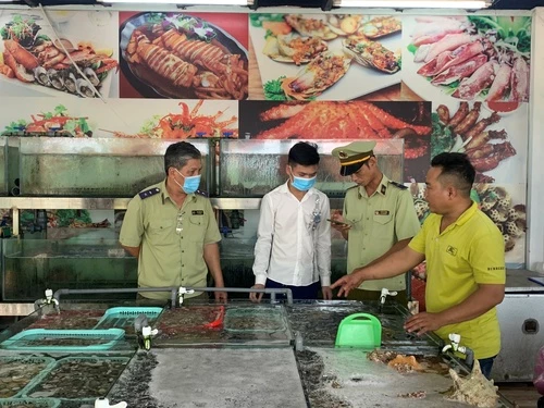 Đoàn liên ngành do Đội QLTT Số 1 - Cục QLTT Nha Trang tham mưu UBND TP. Nha Trang tiến hành kiểm tra Nhà hàng bị phản ánh