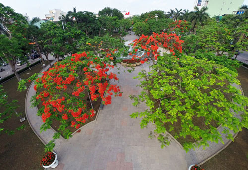 Những loài hoa biểu tượng ở các địa phương