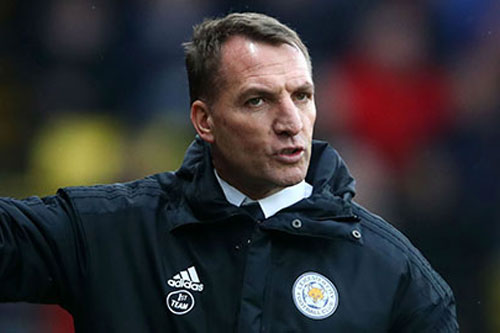 Brendan Rodgers từ chối thẳng thừng cơ hội làm HLV Tottenham