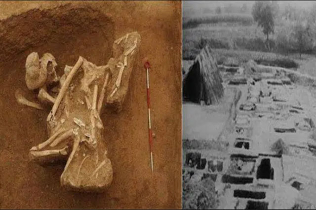 Lăng mộ con gái Tần Thủy Hoàng: Tư thế qua đời tố cáo tội ác man rợ của người anh trai ruột