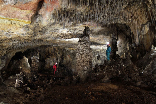 2 người đàn bà thuộc loài người khác "tái sinh" từ bụi, tiết lộ điều bất ngờ