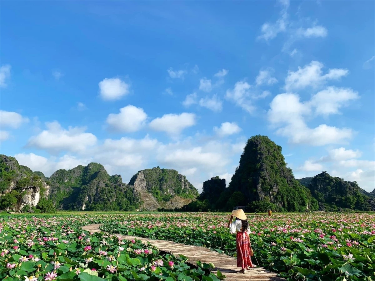 Trên các diễn đàn và hội nhóm về du lịch trên facebook mới đây, những hình ảnh về một hồ sen nở rộ được dân mạng chia sẻ rầm rộ. Không ít bình luận tỏ ra bất ngờ khi trời đã vào thu vẫn có hồ sen nhiều hoa đến như vậy.