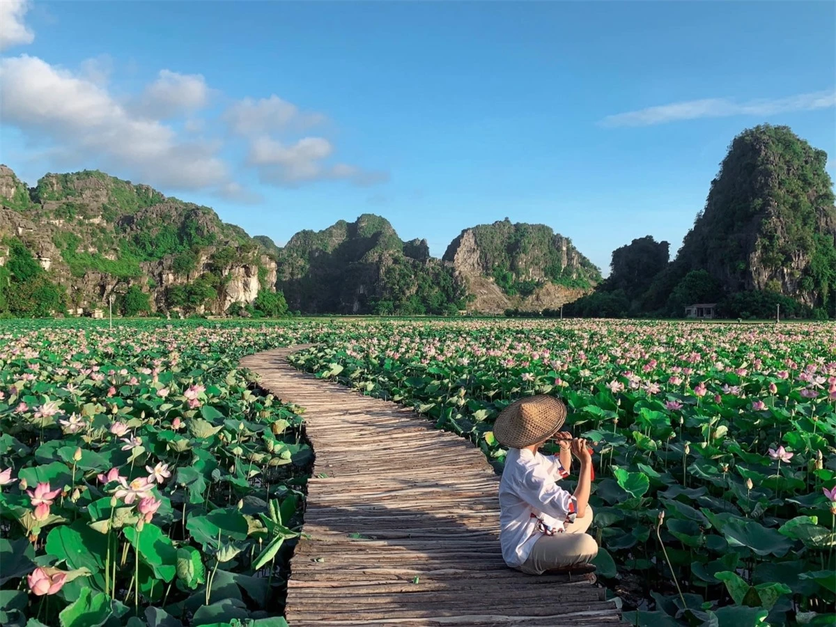 Hình ảnh về hồ sen đang gây sốt vốn là địa điểm nổi tiếng thời gian qua, đây cũng chính là hồ sen từng được mệnh danh kỳ lạ nhất Việt Nam khi vẫn nở hoa vào mùa đông năm ngoái.