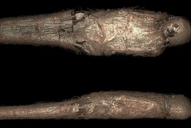 Bí ẩn rùng rợn về 'kén xác ướp' trong quan tài Ai Cập hơn 3.000 năm tuổi