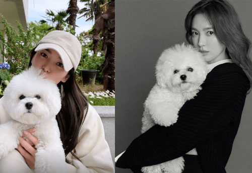 'Chụp sương sương' cùng cún cưng, Song Hye Kyo khiến nhiều người bất ngờ trước nhan sắc cận mặt ở tuổi 40