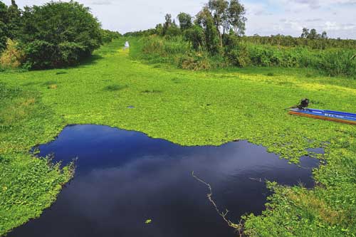 Lịch trình khám phá mùa nước nổi miền Tây