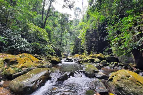 Chinh phục suối Cửa Tử - cung đường trekking hấp dẫn ở Thái Nguyên