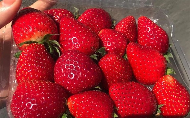 9 công dụng tuyệt vời của dâu tây đối với sức Khỏe