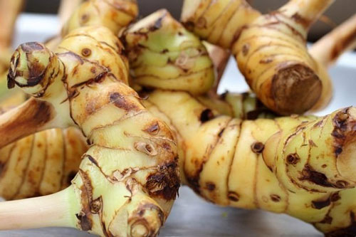 Tác dụng phụ của củ riềng không phải ai cũng biết