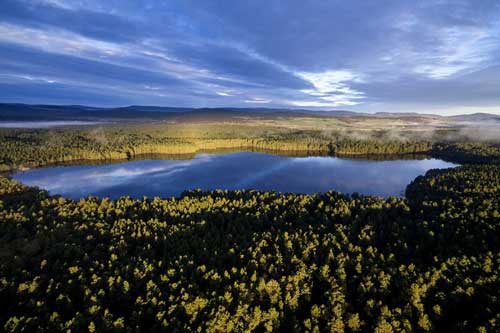 Cảnh mùa thu tuyệt đẹp ở Scotland nhìn từ trên cao