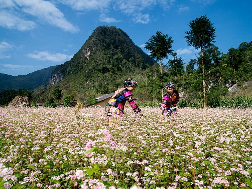 Hà Giang: Hỗ trợ doanh nghiệp lữ hành bị hủy, hoãn đoàn đến Hà Giang