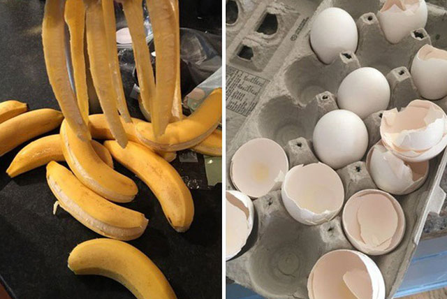 9 loại nguyên liệu tưởng rác vứt đi nhưng vào tay đầu bếp lại thành món hấp dẫn