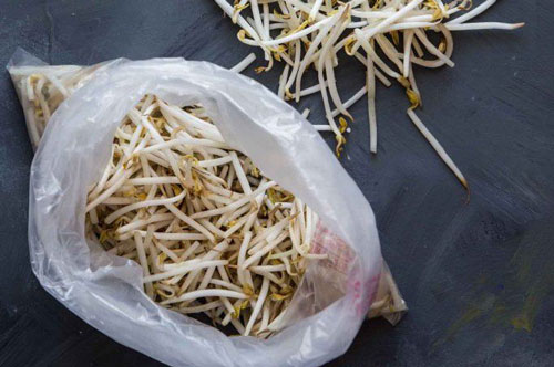 Mua giá đỗ về để hay bị thâm đen nát ủng, đầu bếp mách chiêu 5 ngày không hỏng