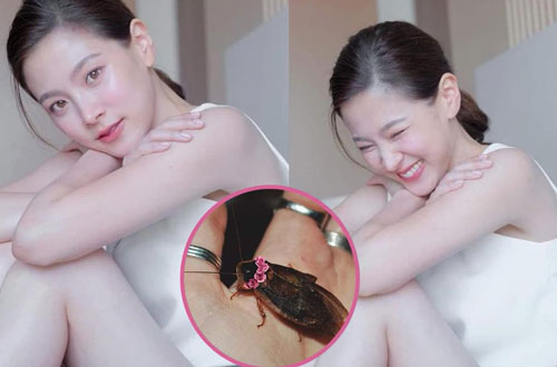 Sự thật về mỹ nhân 'Chiếc lá bay' Baifern: Ham ăn, ở bẩn và có sở thích nuôi gián