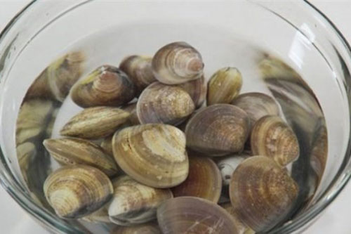 2 thao tác đơn giản giúp ngao nhả sạch cát, muốn nấu kiểu gì cũng ngon