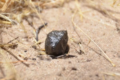 Báu vật triệu đô từ ngoài hành tinh đáp xuống sa mạc châu Phi