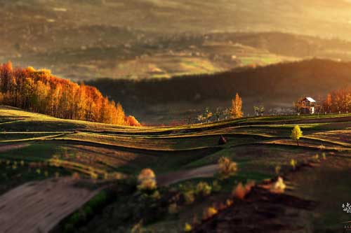 Những khuôn hình đắt giá của mùa thu Romania từ máy ảnh rẻ tiền