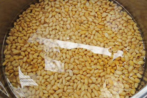Tại sao cần ngâm hạt trước khi chế biến?